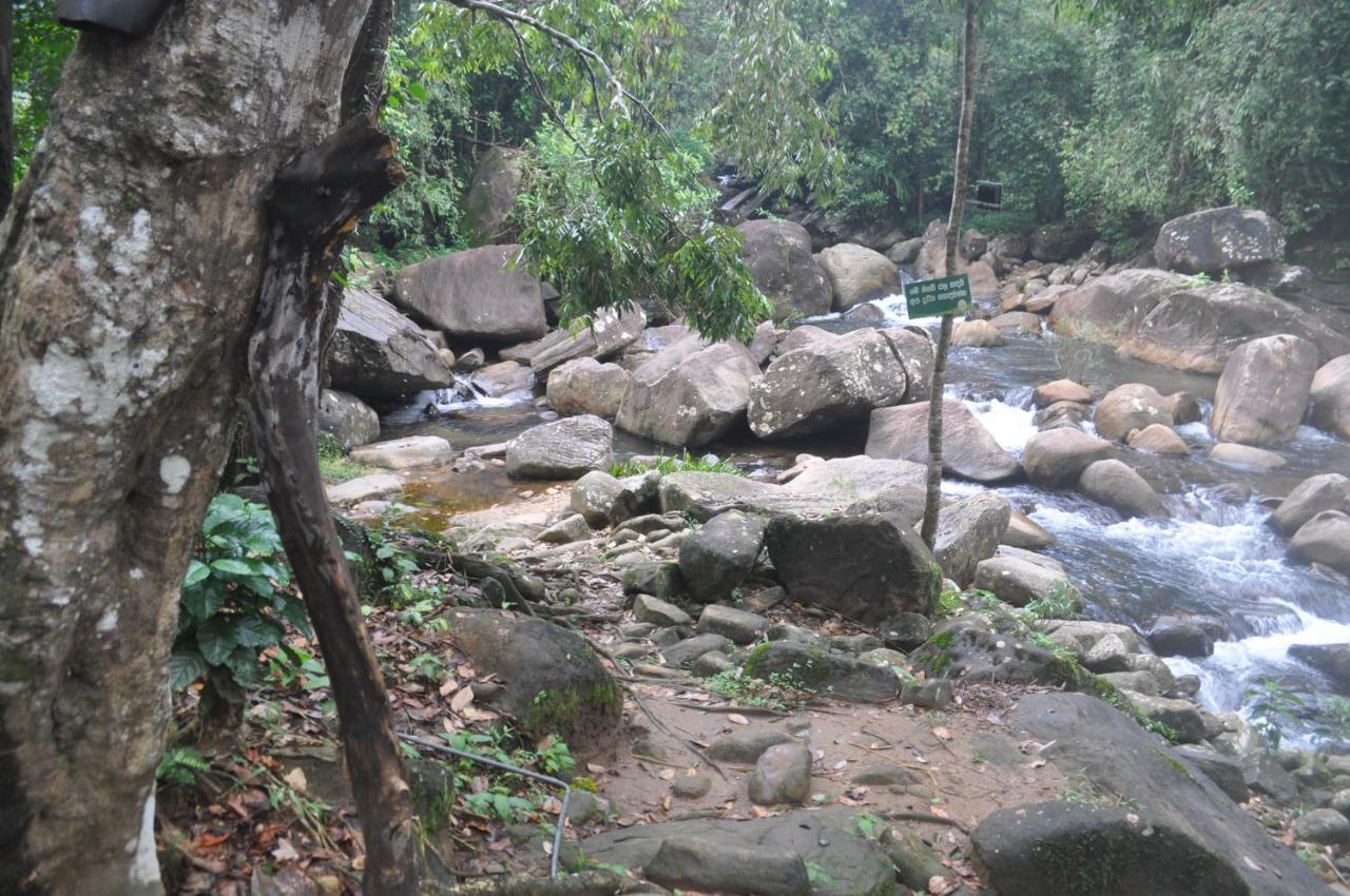 Girankiththa Eco Resort Kitulgala Exterior photo