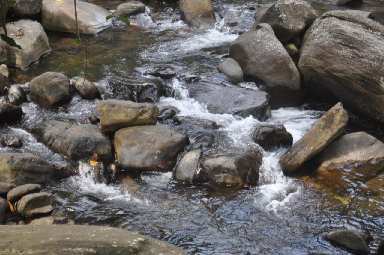 Girankiththa Eco Resort Kitulgala Exterior photo